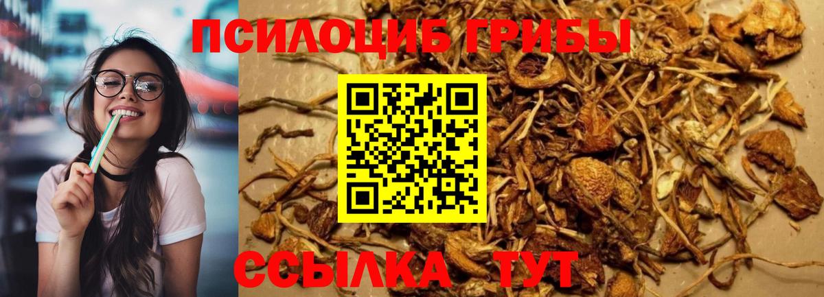 Галлюциногенные грибы Magic Shrooms  Вход с VPN  Касимов 