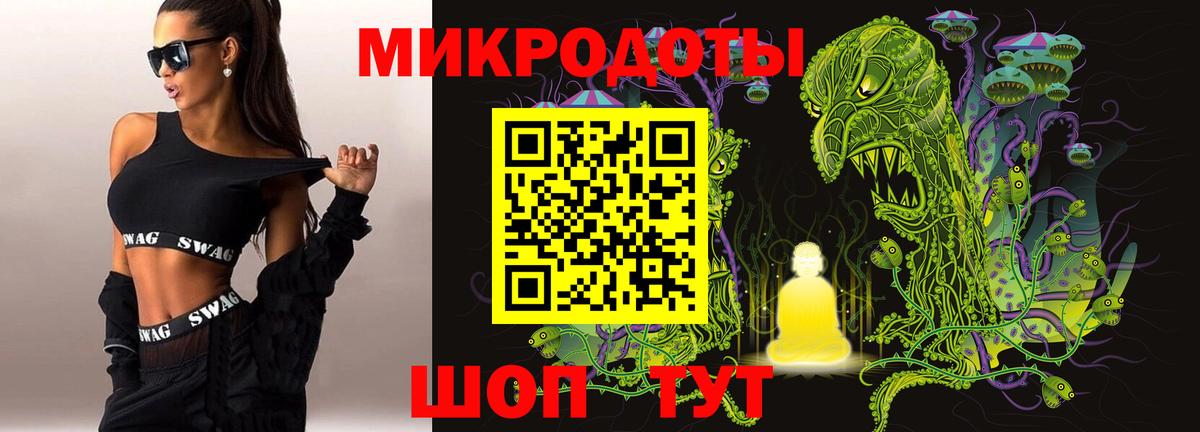 Псилоцибиновые грибы Psilocybe Касимов